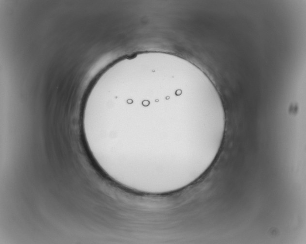 X0000090750008200708172037