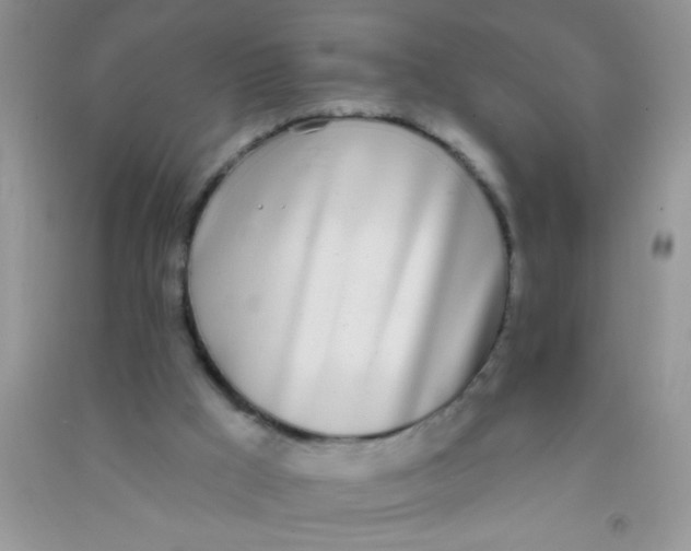 X0000090750009200708172036