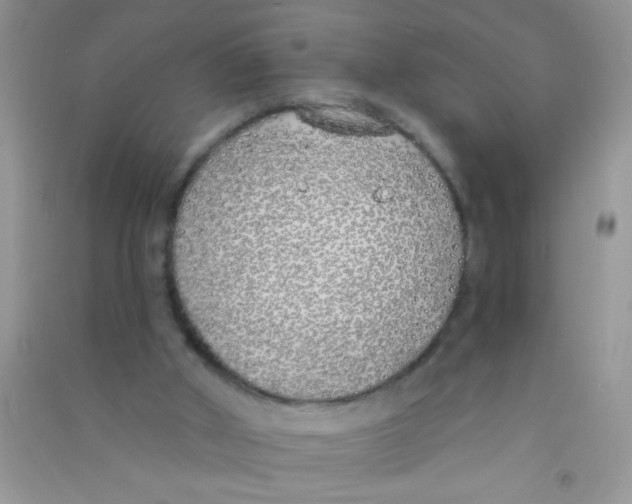 X0000090750010200708172036