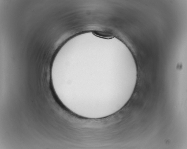X0000090750011200708172036
