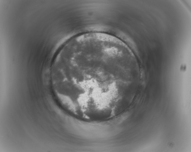 X0000090750012200708172036