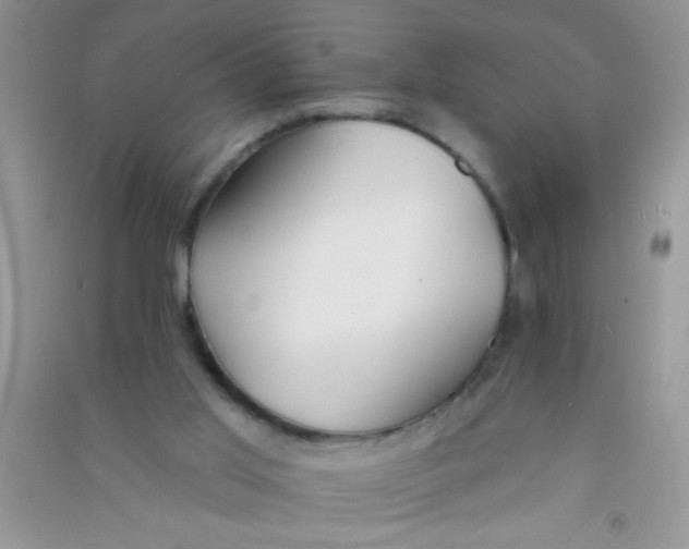 X0000090750013200708172036