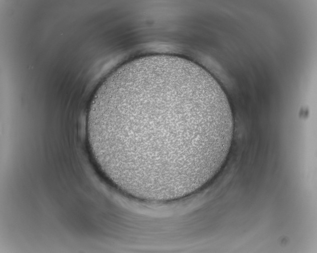 X0000090750014200708172036