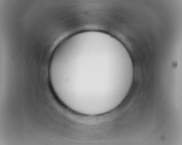 X0000090750015200708172036