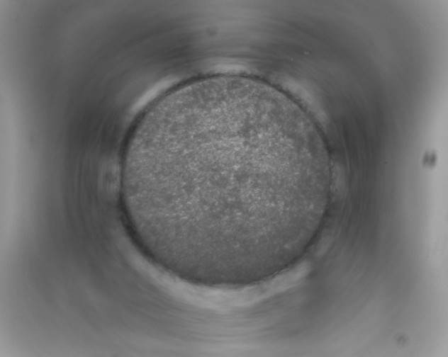 X0000090750016200708172036