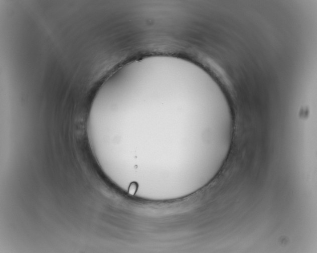 X0000090750017200708172036