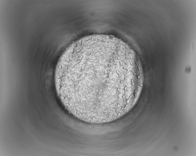 X0000090750018200708172036