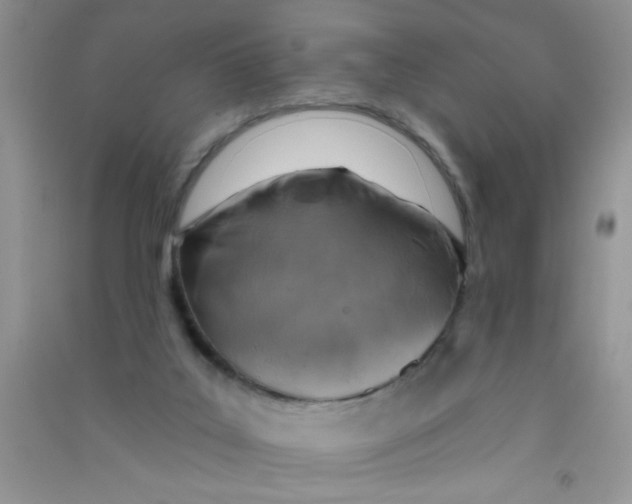 X0000090750019200708172036