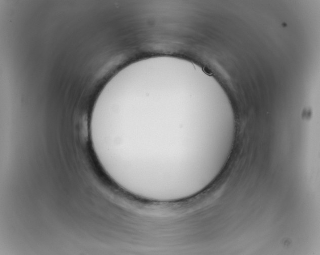 X0000090750020200708172036