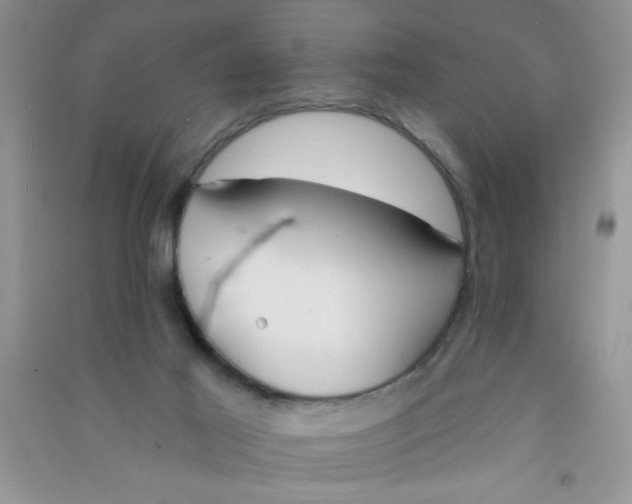 X0000090750021200708172036