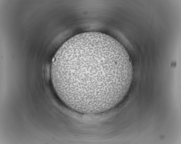 X0000090750022200708172036