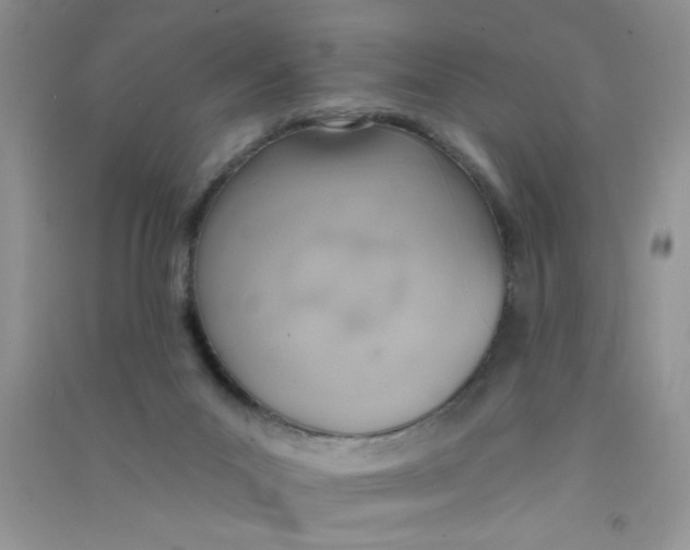 X0000090750023200708172036