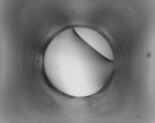 X0000090750024200708172036
