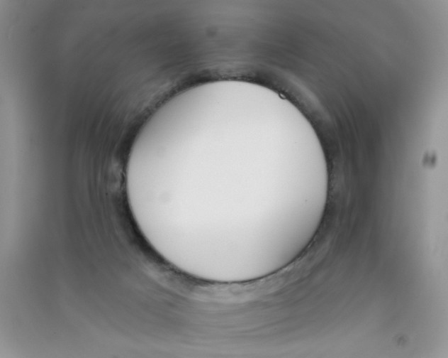 X0000090750025200708172036