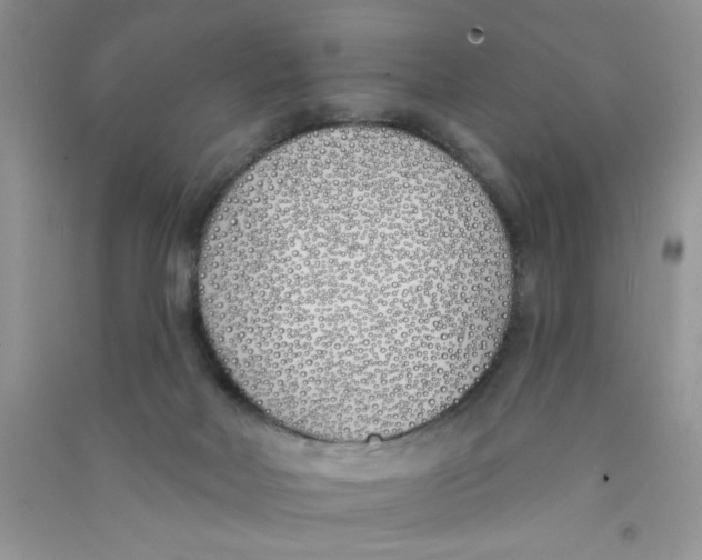 X0000090750026200708172036