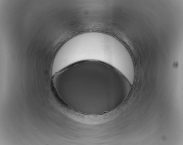 X0000090750027200708172036