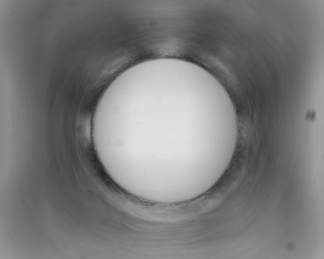 X0000090750028200708172036