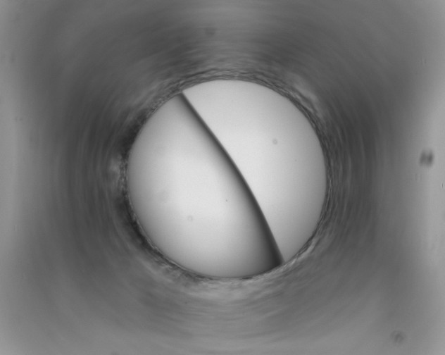 X0000090750029200708172036
