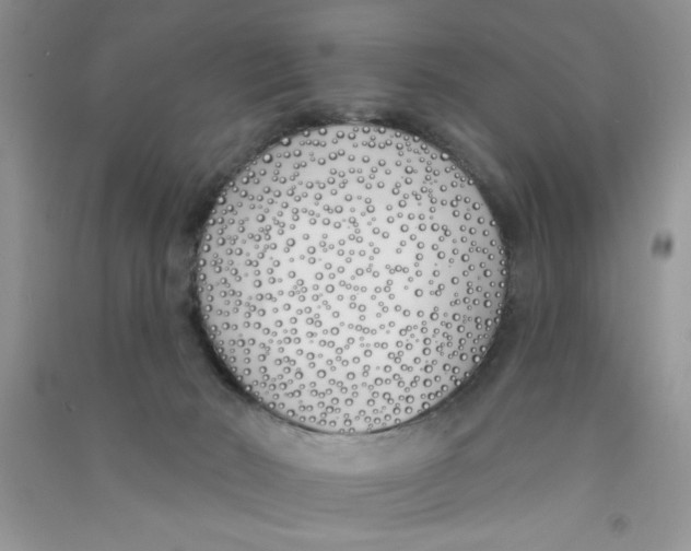 X0000090750030200708172036