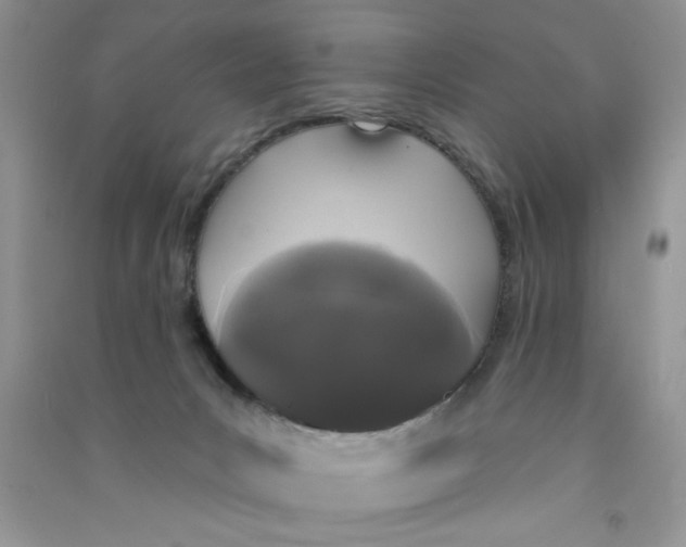 X0000090750031200708172036
