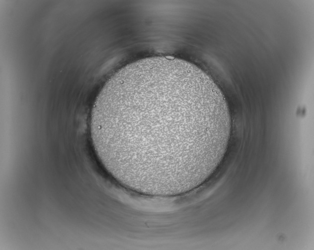 X0000090750032200708172036