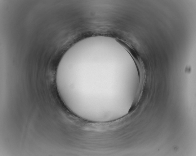 X0000090750033200708172036