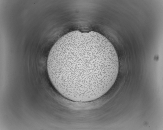 X0000090750034200708172036