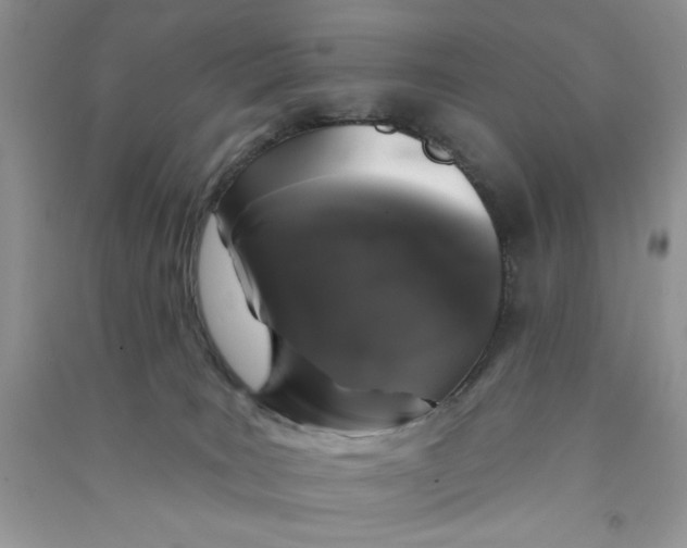 X0000090750035200708172036