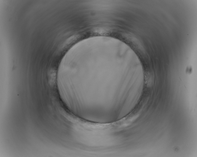 X0000090750036200708172036