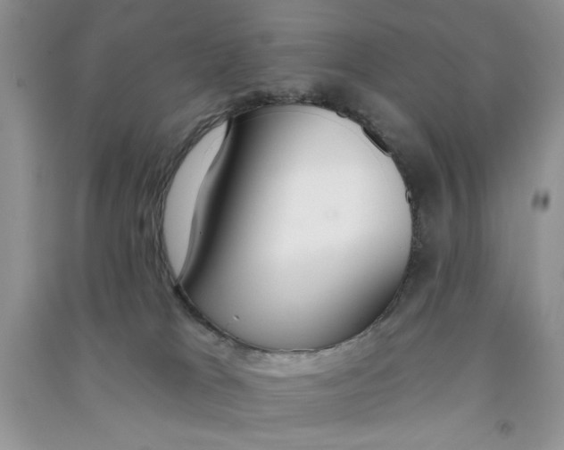 X0000090750037200708172036