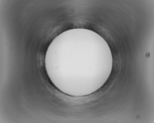 X0000090750038200708172036