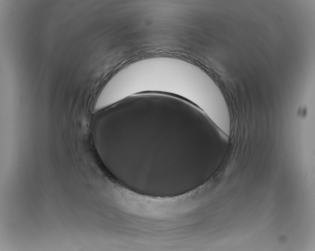 X0000090750039200708172036