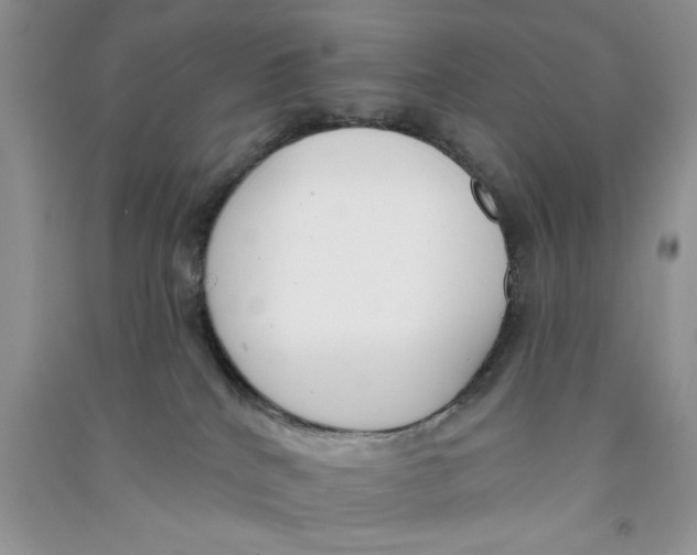 X0000090750040200708172036