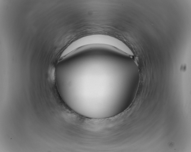 X0000090750041200708172036