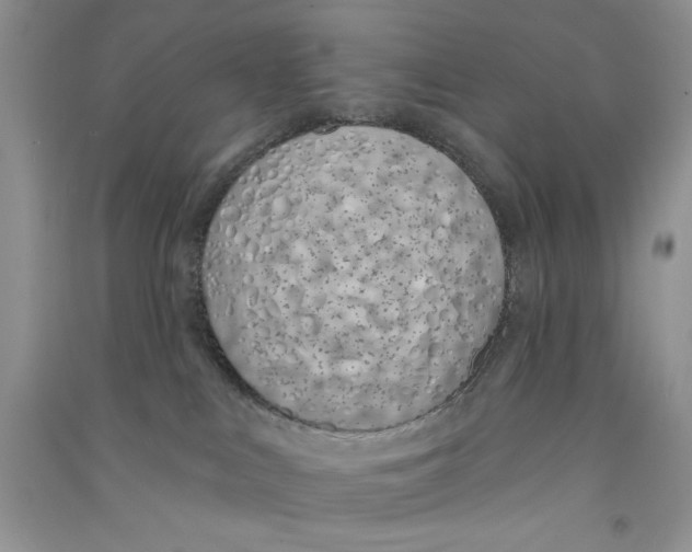 X0000090750043200708172036