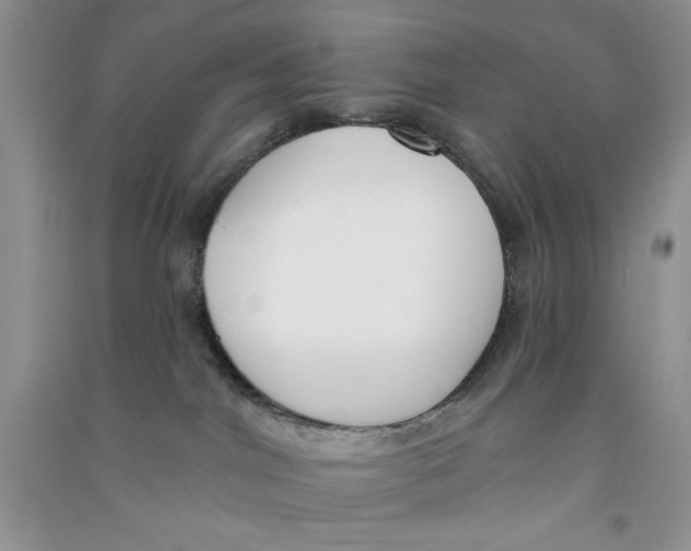 X0000090750044200708172036
