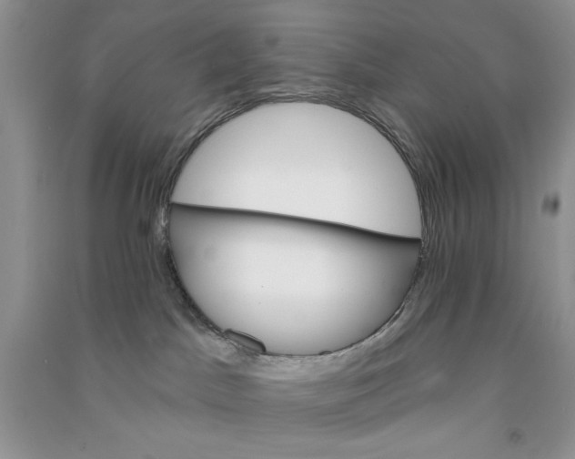 X0000090750045200708172036