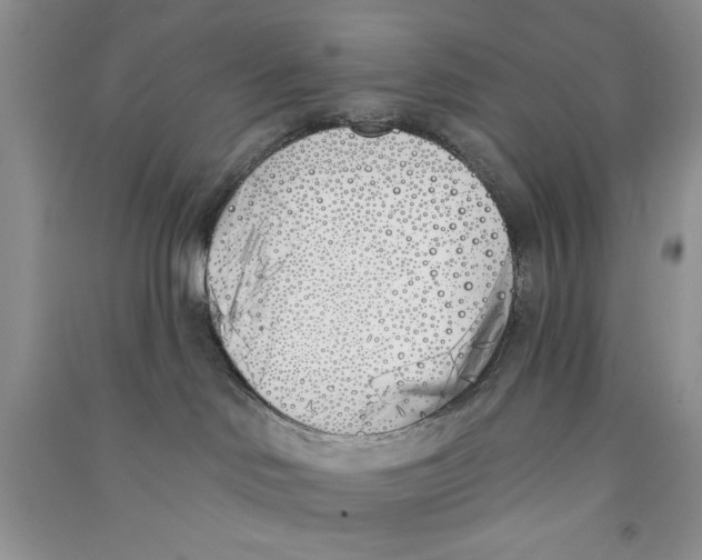 X0000090750046200708172036