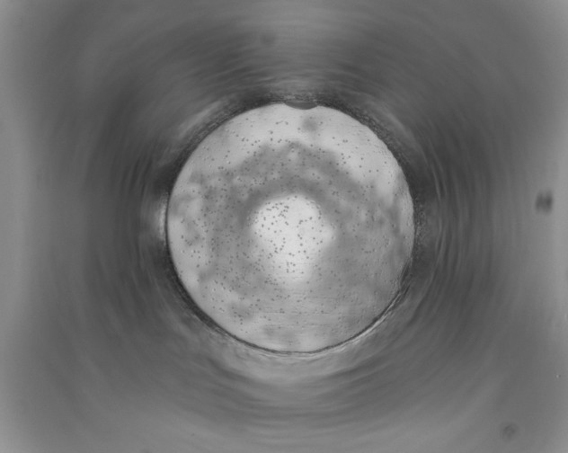 X0000090750047200708172036