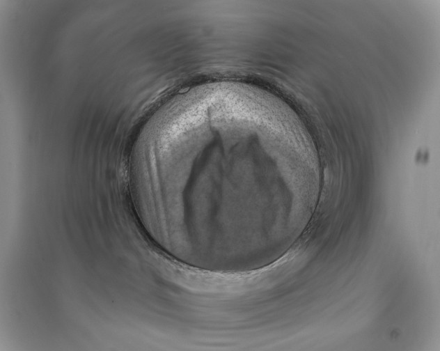 X0000090750048200708172036