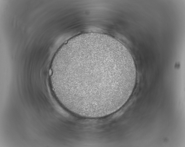X0000090750049200708172035
