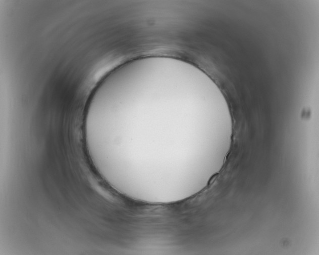 X0000090750050200708172035