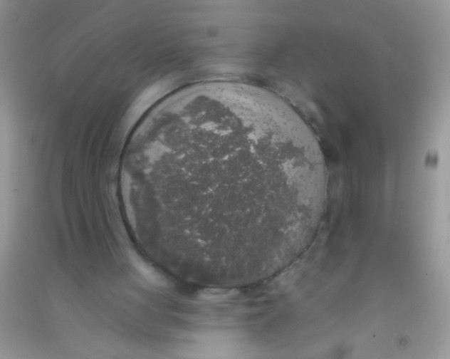 X0000090750051200708172035