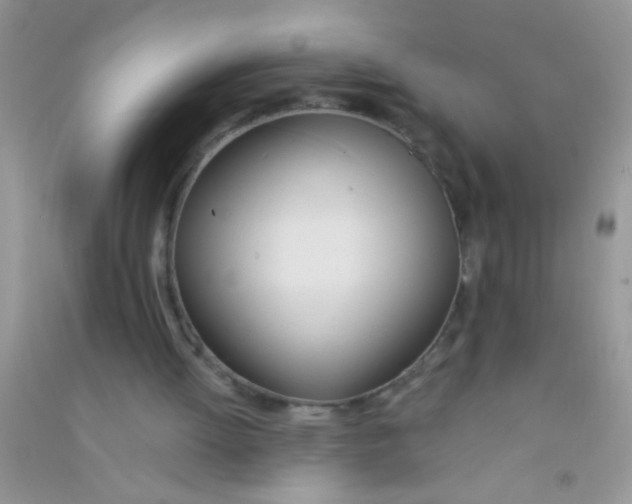 X0000090750052200708172035