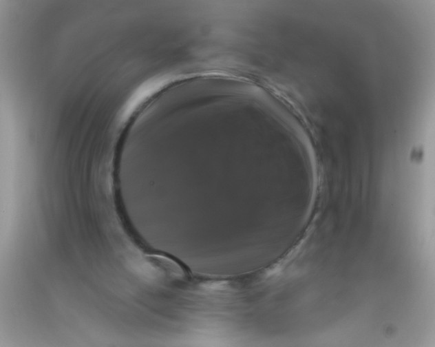 X0000090750054200708172035