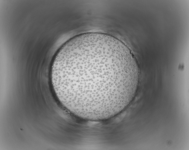 X0000090750055200708172035
