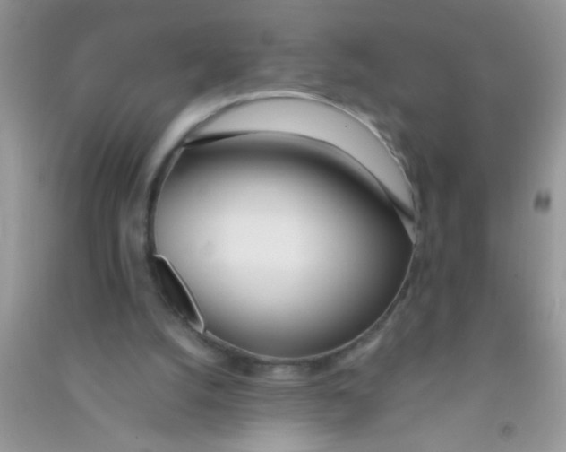 X0000090750056200708172035