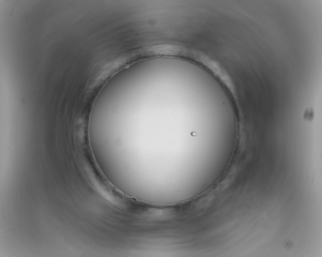X0000090750057200708172035