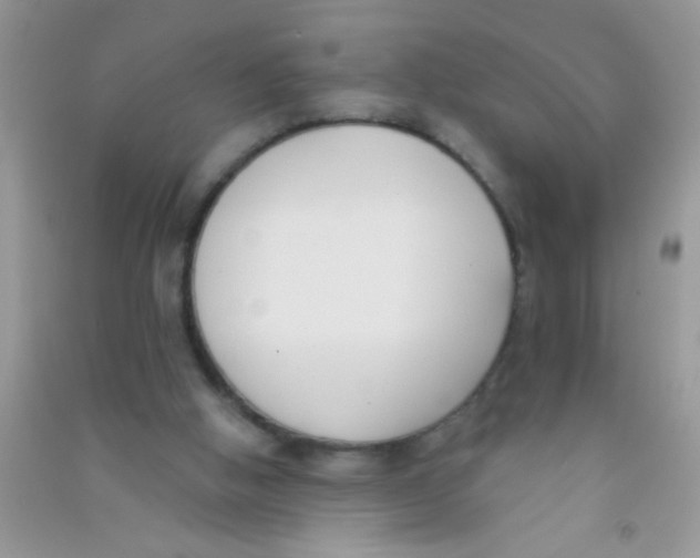 X0000090750058200708172035