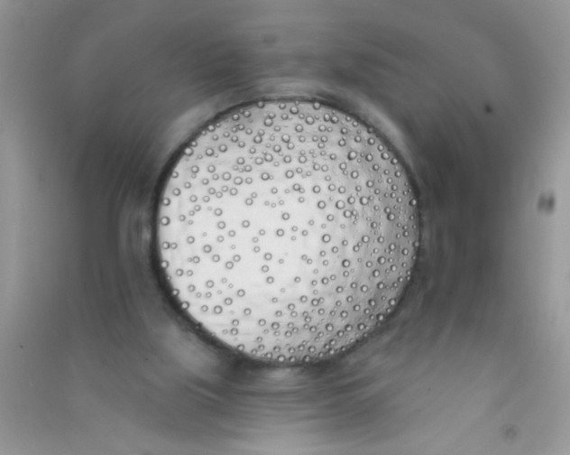 X0000090750059200708172035